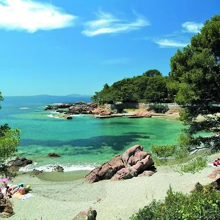 Grand Avec Terrasse Pres De La *