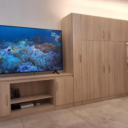 Appartement Grand Avec Terrasse Près De La